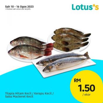 Lotuss-Lebih-Murah-Promotion-7-3-350x350 - Johor Kedah Kelantan Kuala Lumpur Melaka Negeri Sembilan Pahang Penang Perak Perlis Promotions & Freebies Putrajaya Sabah Sarawak Selangor Supermarket & Hypermarket Terengganu 