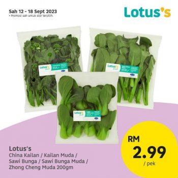 Lotuss-Brand-Products-Promotion-9-350x350 - Johor Kedah Kelantan Kuala Lumpur Melaka Negeri Sembilan Pahang Penang Perak Perlis Promotions & Freebies Putrajaya Sabah Sarawak Selangor Supermarket & Hypermarket Terengganu 