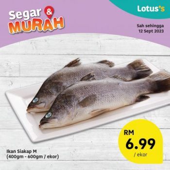 Lotuss-Fresh-Items-Promotion-2-350x350 - Johor Kedah Kelantan Kuala Lumpur Melaka Negeri Sembilan Pahang Penang Perak Perlis Promotions & Freebies Putrajaya Sabah Sarawak Selangor Supermarket & Hypermarket Terengganu 