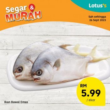Lotuss-Fresh-Items-Promotion-4-350x350 - Johor Kedah Kelantan Kuala Lumpur Melaka Negeri Sembilan Pahang Penang Perak Perlis Promotions & Freebies Putrajaya Sabah Sarawak Selangor Supermarket & Hypermarket Terengganu 