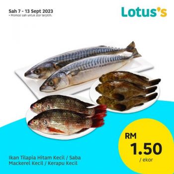 Lotuss-Lebih-Murah-Promotion-7-3-350x350 - Johor Kedah Kelantan Kuala Lumpur Melaka Negeri Sembilan Pahang Penang Perak Perlis Promotions & Freebies Putrajaya Sabah Sarawak Selangor Supermarket & Hypermarket Terengganu 