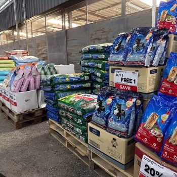 395801448_731086839038984_8111868785392604263_n-350x350 - Pets Selangor Sports,Leisure & Travel Warehouse Sale & Clearance in Malaysia 