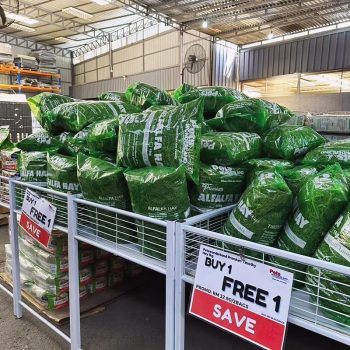 396438156_730670989080569_2456413207974719991_n-350x350 - Pets Selangor Sports,Leisure & Travel Warehouse Sale & Clearance in Malaysia 