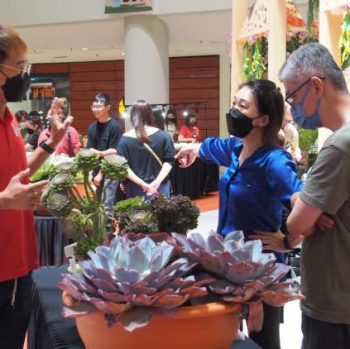 ED-Labels-Plant-Fest-at-Citta-Mall-3-350x349 - Events & Fairs Selangor 