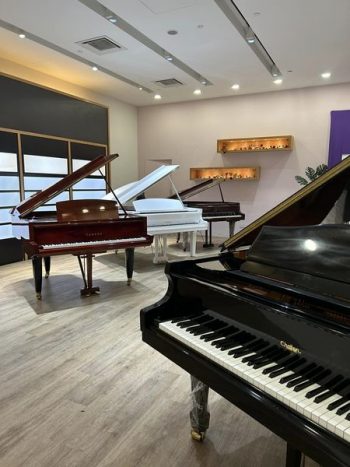 Piano-Designer-Warehouse-Sale-3-350x467 - Movie & Music & Games Music Instrument Selangor Warehouse Sale & Clearance in Malaysia 