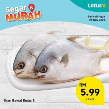 Lotuss-Fresh-Items-Promotion-1-1-350x350 - Johor Kedah Kelantan Kuala Lumpur Melaka Negeri Sembilan Pahang Penang Perak Perlis Promotions & Freebies Putrajaya Sabah Sarawak Selangor Supermarket & Hypermarket Terengganu 