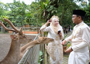 Zoo-Negara-Free-Ticket-Promotion-Bridal-Couple-1-350x248 - Selangor Sports,Leisure & Travel Theme Parks 