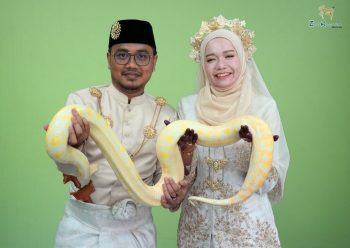 Zoo-Negara-Free-Ticket-Promotion-Bridal-Couple-2-350x248 - Selangor Sports,Leisure & Travel Theme Parks 