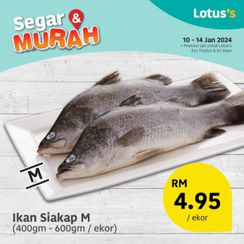 Lotuss-Fresh-Items-Promotion-1-1-350x350 - Johor Promotions & Freebies Supermarket & Hypermarket 