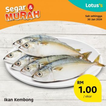 Lotuss-Fresh-Items-Promotion-1-3-350x350 - Johor Kedah Kelantan Kuala Lumpur Melaka Negeri Sembilan Pahang Penang Perak Perlis Promotions & Freebies Putrajaya Sabah Sarawak Selangor Supermarket & Hypermarket Terengganu 