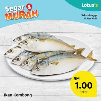 Lotuss-Fresh-Items-Promotion-2-2-350x350 - Johor Kedah Kelantan Kuala Lumpur Melaka Negeri Sembilan Pahang Penang Perak Perlis Promotions & Freebies Putrajaya Sabah Sarawak Selangor Supermarket & Hypermarket Terengganu 