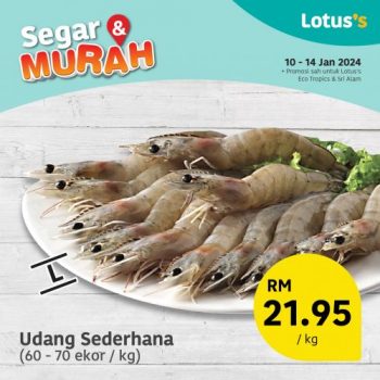 Lotuss-Fresh-Items-Promotion-4-1-350x350 - Johor Promotions & Freebies Supermarket & Hypermarket 
