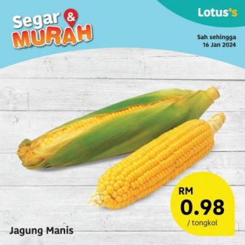 Lotuss-Fresh-Items-Promotion-4-2-350x350 - Johor Kedah Kelantan Kuala Lumpur Melaka Negeri Sembilan Pahang Penang Perak Perlis Promotions & Freebies Putrajaya Sabah Sarawak Selangor Supermarket & Hypermarket Terengganu 