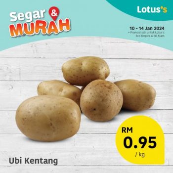 Lotuss-Fresh-Items-Promotion-5-1-350x350 - Johor Promotions & Freebies Supermarket & Hypermarket 