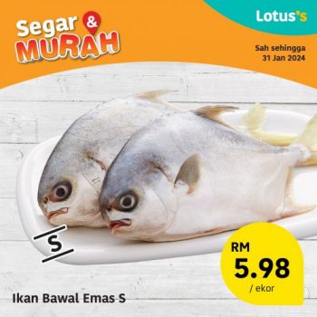 Lotuss-Fresh-Items-Promotion-5-3-350x350 - Johor Kedah Kelantan Kuala Lumpur Melaka Negeri Sembilan Pahang Penang Perak Perlis Promotions & Freebies Putrajaya Sabah Sarawak Selangor Supermarket & Hypermarket Terengganu 