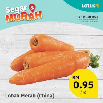 Lotuss-Fresh-Items-Promotion-7-350x350 - Johor Promotions & Freebies Supermarket & Hypermarket 