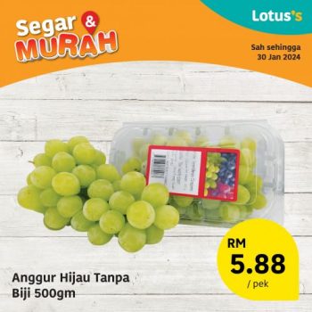 Lotuss-Fresh-Items-Promotion-8-1-350x350 - Johor Kedah Kelantan Kuala Lumpur Melaka Negeri Sembilan Pahang Penang Perak Perlis Promotions & Freebies Putrajaya Sabah Sarawak Selangor Supermarket & Hypermarket Terengganu