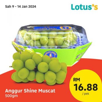 Lotuss-Sama-Sama-Berjimat-Promotion-12-1-350x350 - Johor Kedah Kelantan Kuala Lumpur Melaka Negeri Sembilan Pahang Penang Perak Perlis Promotions & Freebies Putrajaya Sabah Sarawak Selangor Supermarket & Hypermarket Terengganu 