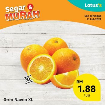 Lotuss-Fresh-Items-Promotion-13-350x350 - Johor Kedah Kelantan Kuala Lumpur Melaka Negeri Sembilan Pahang Penang Perak Perlis Promotions & Freebies Putrajaya Sabah Sarawak Selangor Supermarket & Hypermarket Terengganu 