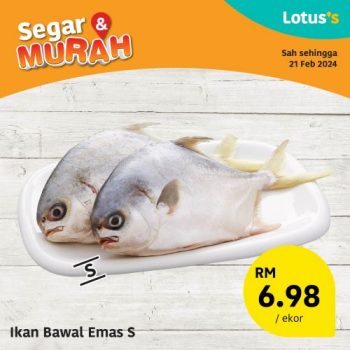 Lotuss-Fresh-Items-Promotion-5-350x350 - Johor Kedah Kelantan Kuala Lumpur Melaka Negeri Sembilan Pahang Penang Perak Perlis Promotions & Freebies Putrajaya Sabah Sarawak Selangor Supermarket & Hypermarket Terengganu 