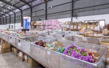 DSC00137-350x219 - Beddings Building Materials Dinnerware Flooring Furniture Home & Garden & Tools Home Decor Kitchenware Kuala Lumpur Lightings Mattress Office Furniture Putrajaya Safety Tools & DIY Tools Sanitary & Bathroom Selangor Warehouse Sale & Clearance in Malaysia 