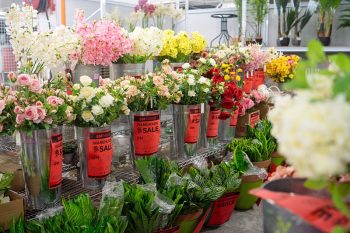 DSC01739-1-350x233 - Beddings Building Materials Dinnerware Flooring Furniture Home & Garden & Tools Home Decor Kitchenware Kuala Lumpur Lightings Mattress Office Furniture Safety Tools & DIY Tools Sanitary & Bathroom Selangor Warehouse Sale & Clearance in Malaysia 
