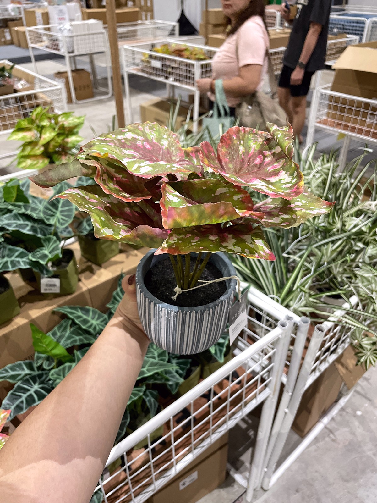 Faux-Botanical-2 8–12 July 2026: HOOGA Backyard Clearance Sale at The Campus Ampang – Up to 80% OFF Home Essentials, TENCEL Bedlinen, Home Fragrances, Bath Accessories & More!