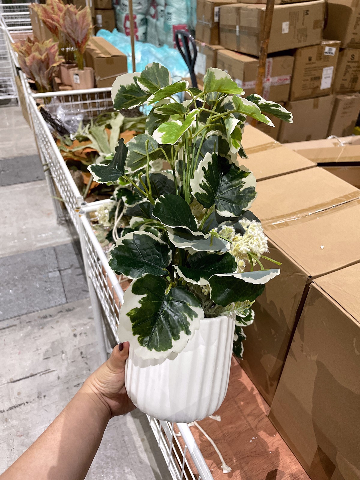 Faux-Botanical 8–12 July 2026: HOOGA Backyard Clearance Sale at The Campus Ampang – Up to 80% OFF Home Essentials, TENCEL Bedlinen, Home Fragrances, Bath Accessories & More!