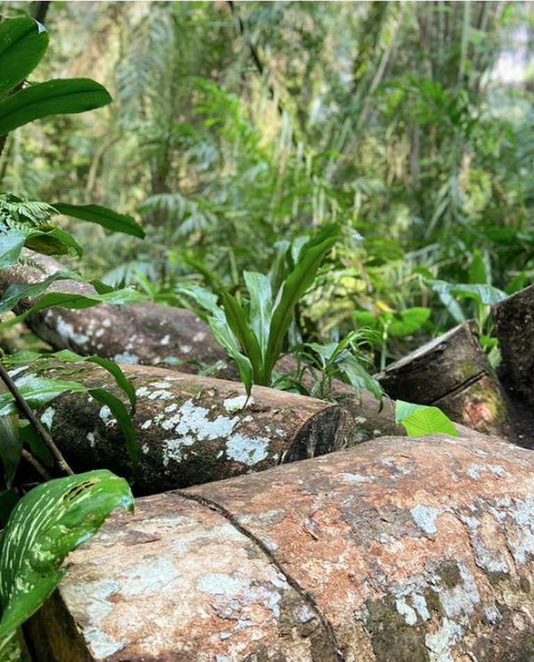 At The End Of The Hidden Greenery A hidden Greenery Treasure Trail Park In The Heart Of Kuala Lumpur