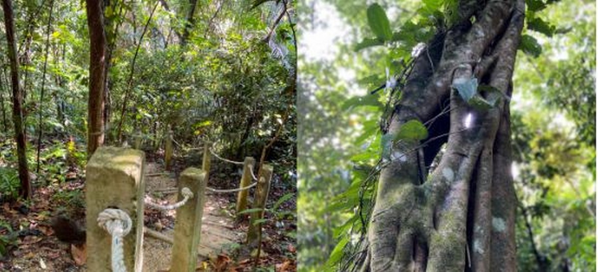 At The End Of The Hidden Greenery A hidden Greenery Treasure Trail Park In The Heart Of Kuala Lumpur