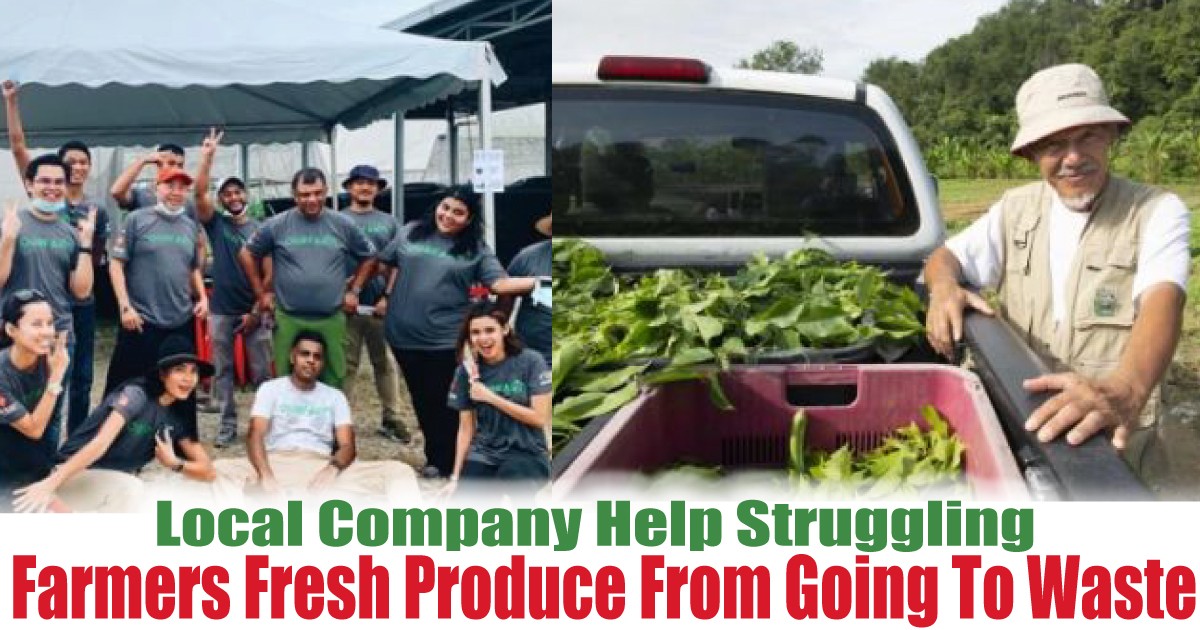 Farmers-Fresh-Produce-From-Going-To-Waste - News 