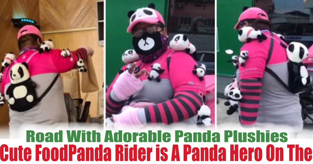 Road-With-Adorable-Panda-Plushies-Attach-To-Him - News 