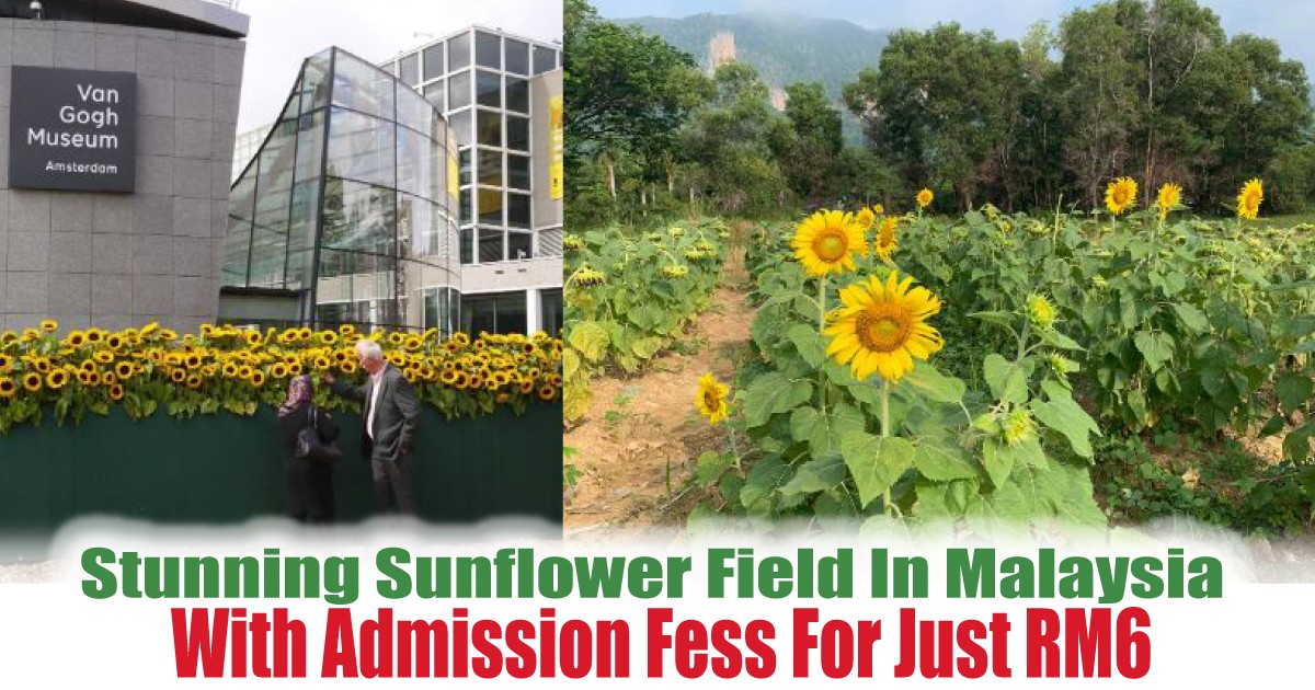 With-Admission-Fess-For-Just-RM6 - News 
