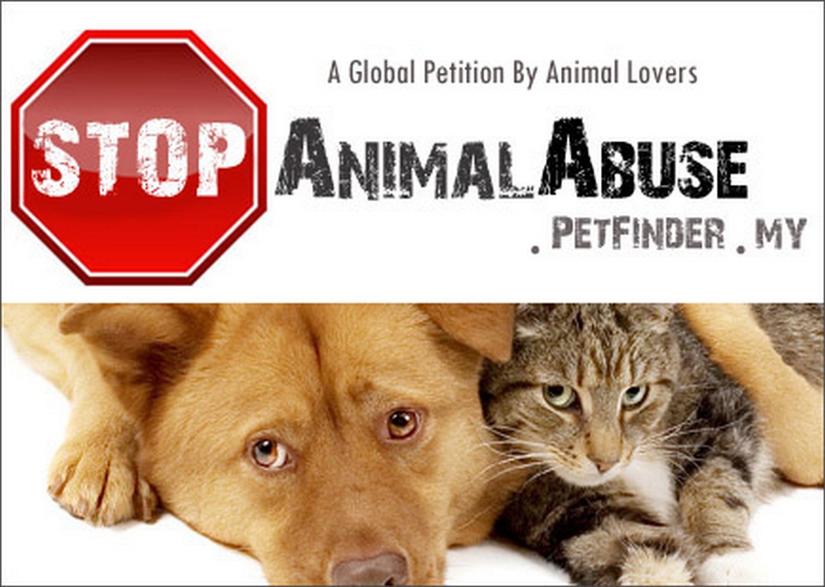 blog_petition - News 
