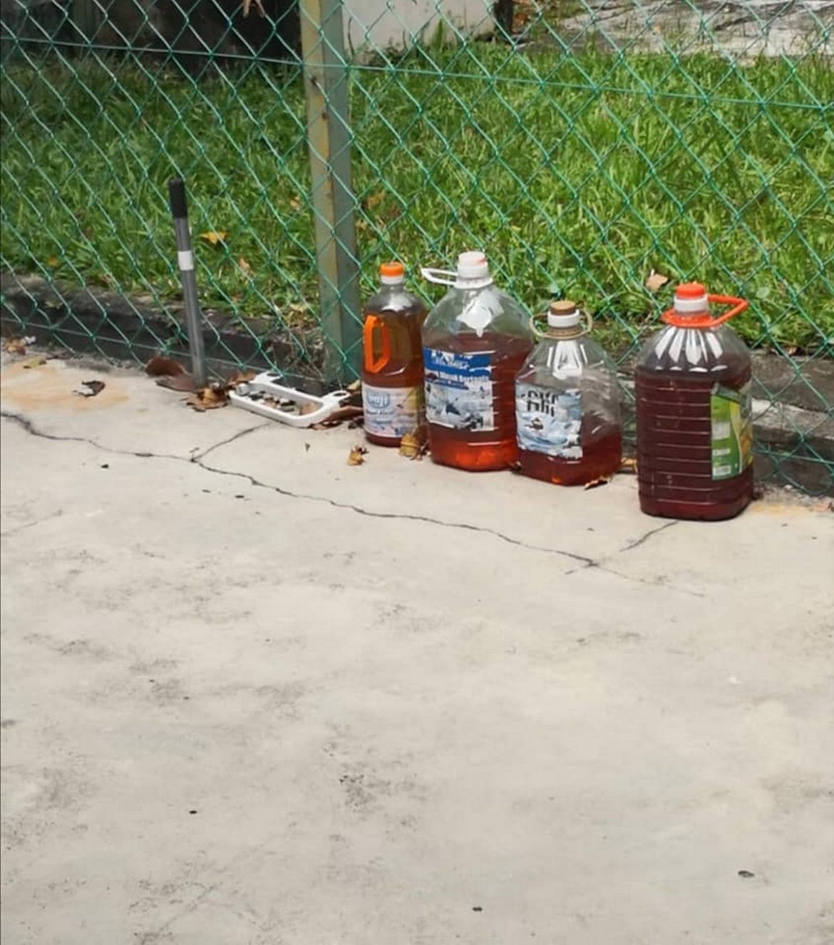 How to Get Rid of Used Cooking Oil! Quick Guide On Recyling Cooking Oil