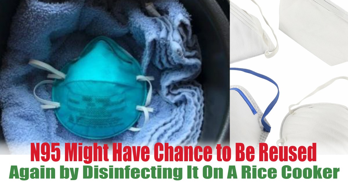 Again-by-Disinfecting-It-On-A-Rice-Cooker - News 