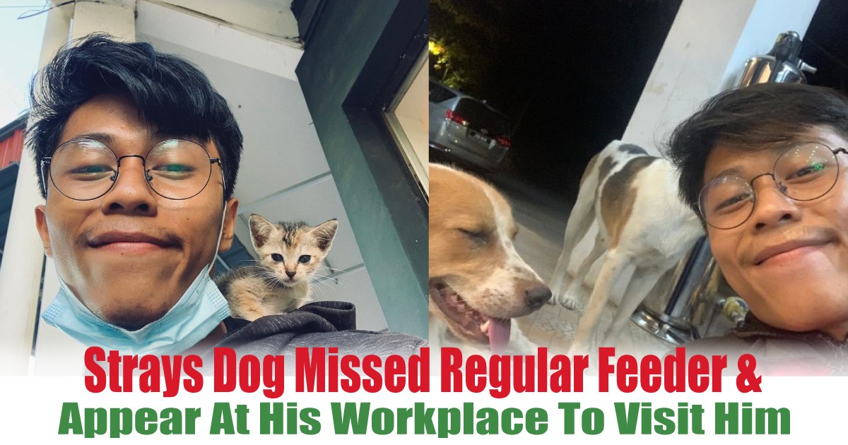 Appear-At-His-Workplace-To-Visit-Him - News 