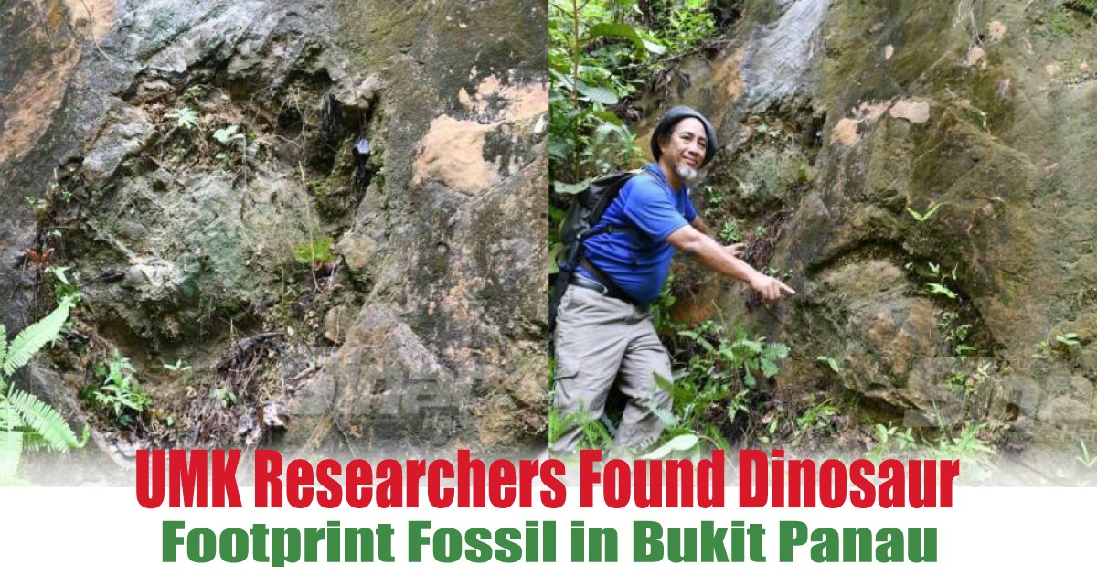 Footprint-Fossil-in-Bukit-Panau - News 