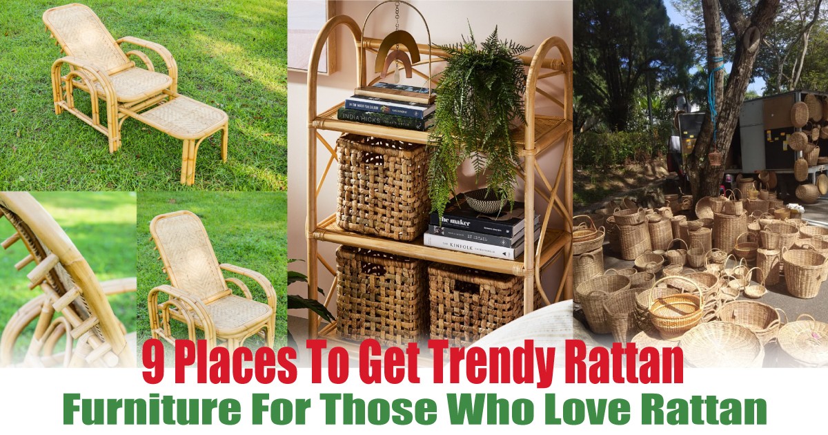 Furniture-For-Those-Who-Love-Rattan - News 