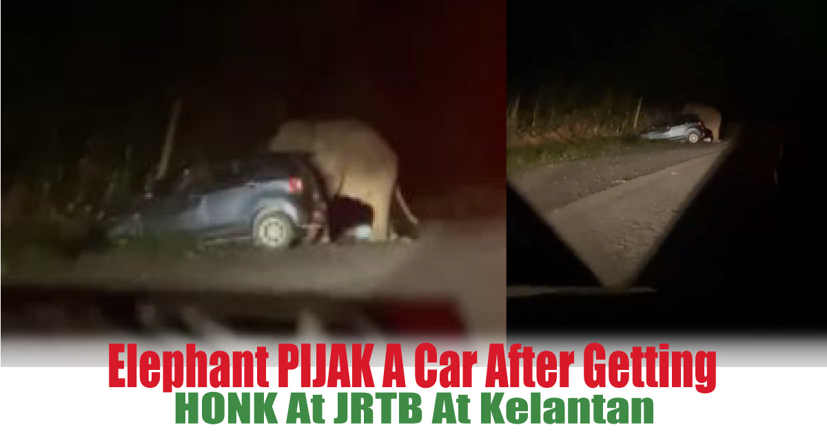 HONK-At-JRTB-At-Kelantan - News 