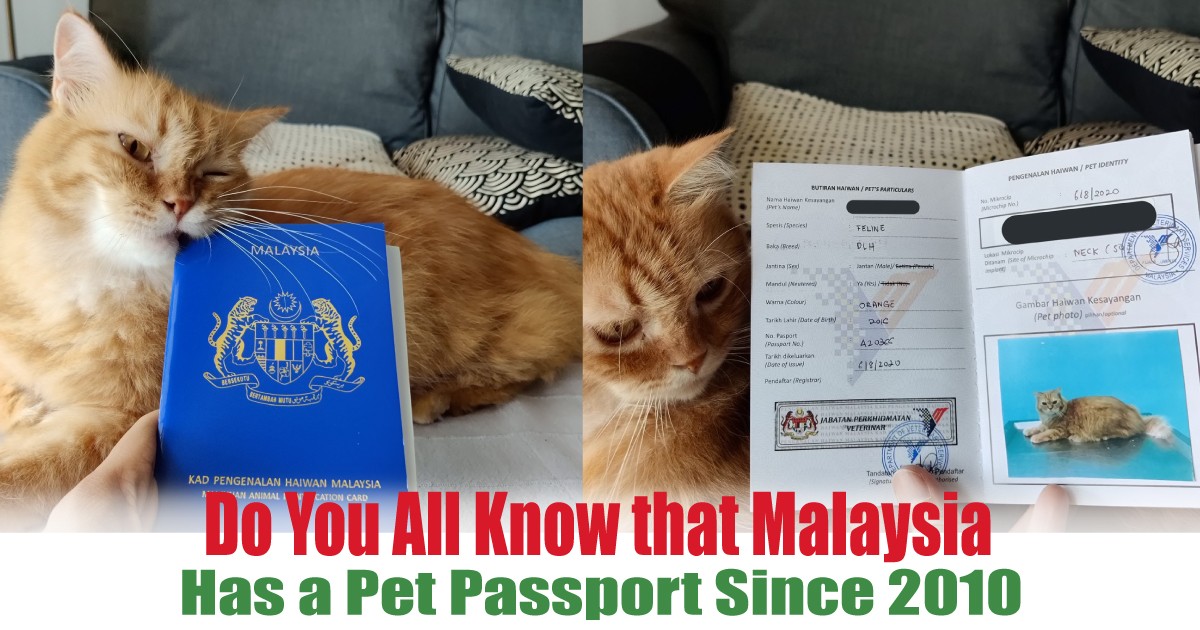 Has-a-Pet-Passport-Since-2010 - News 