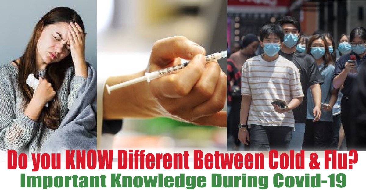 Important-Knowledge-During-Covid-19-Period - News 