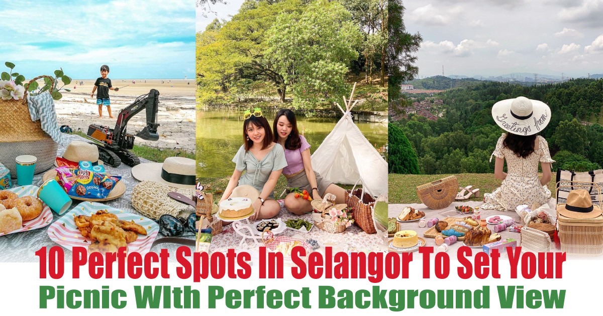 Picnic-WIth-Perfect-Background-View - News 