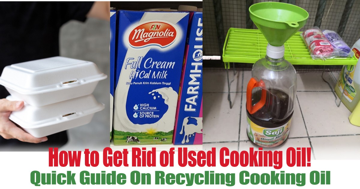 Quick-Guide-On-Recycling-Cooking-Oil - News 