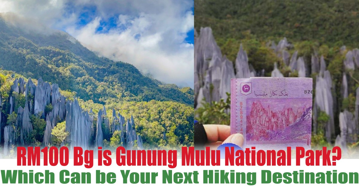 Which-Can-be-Your-Next-Hiking-Destination - News 