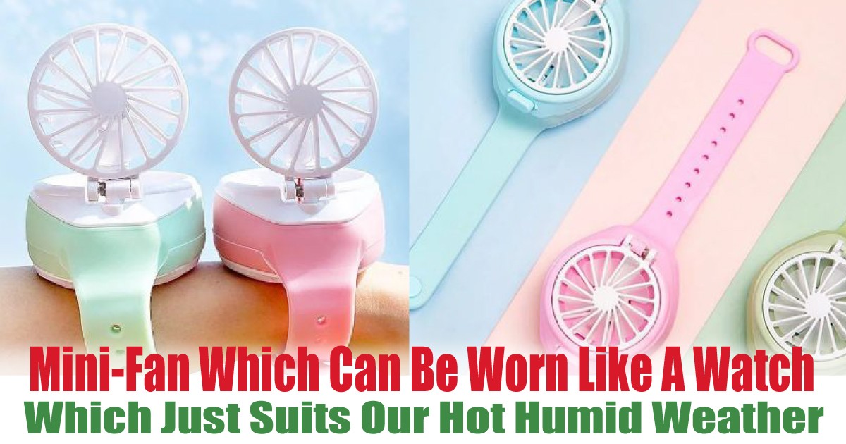 Which-Just-Suits-Our-Hot-Humid-Weather - News 