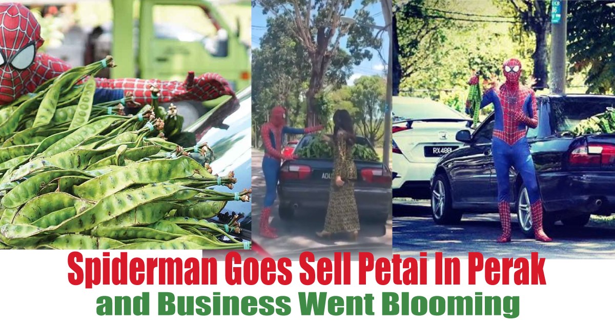 and-Business-Went-Blooming - News 