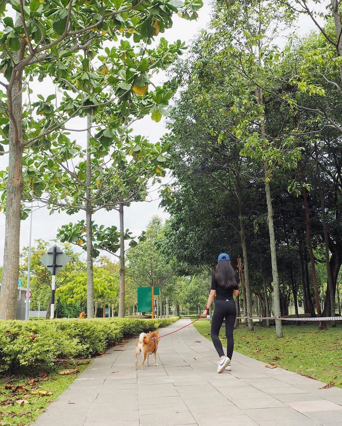 desa-@flatwhitekuma-Instagram - News