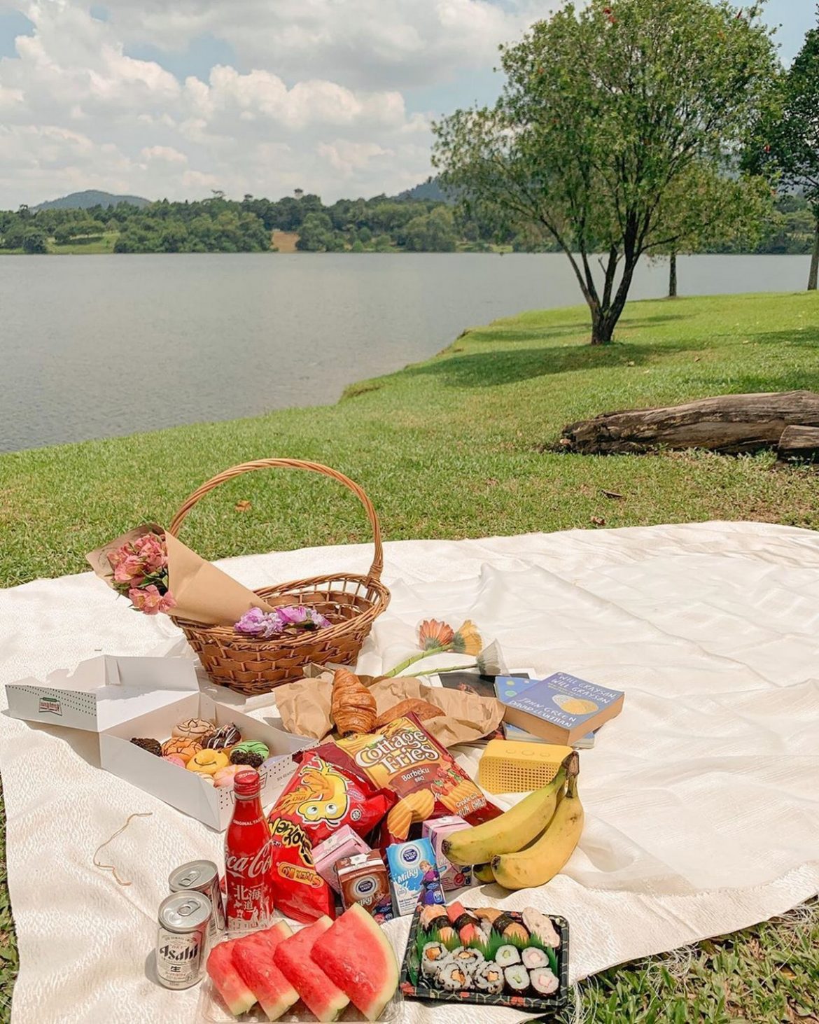 10 Perfect Spots In Selangor To Set Your Picnic WIth Perfect Background
