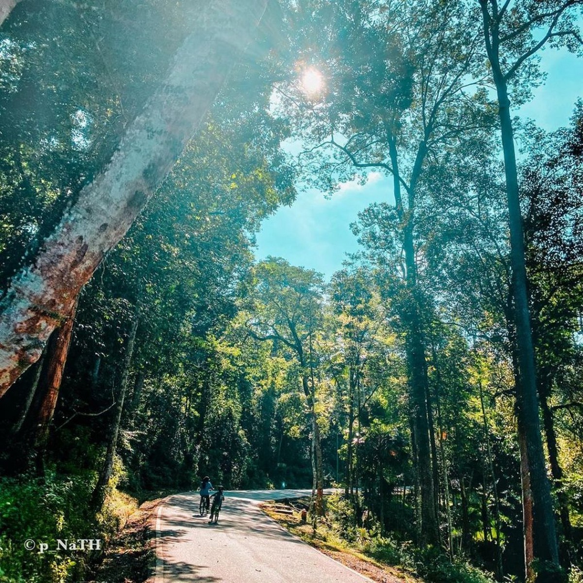 shah-@p_nath_-Instagram - News